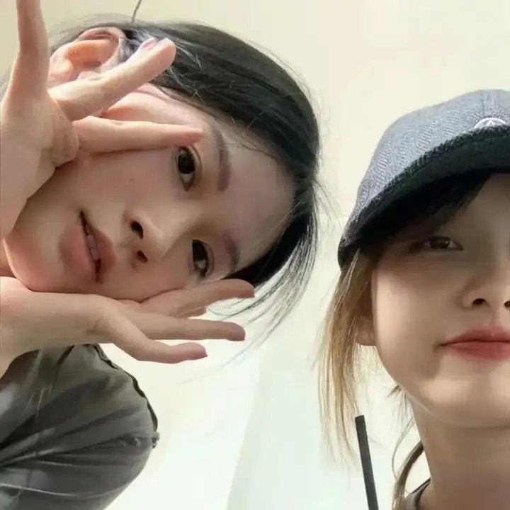 容易受伤的玫瑰