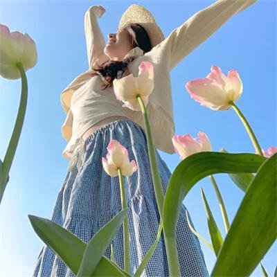 威尼斯的阿历克斯